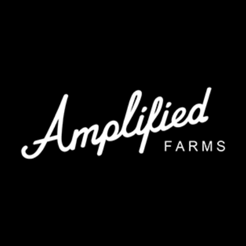 Amplified