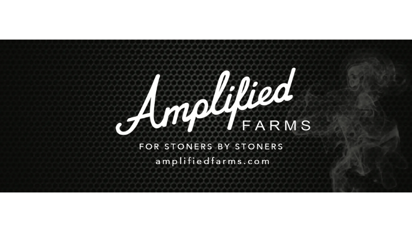 Amplified