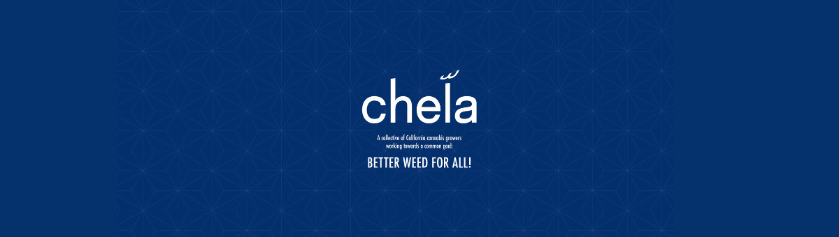 Chela